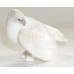 USSR 1970s Cute Dove Rare Lomonosov porcelain figurine