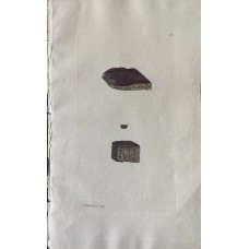 7241