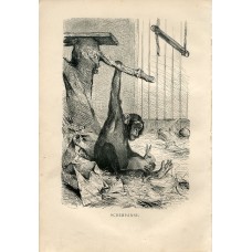 Chimpanzee and Rabbit - Original 1876 Engraving by Meyers. Fliegen und Schnecken Chimpanzee and Rabbit - Original 1876 Engraving by Meyers. Fliegen und Schnecken