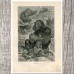 1876 A.Brehm GORILLA FAMILY APE MONKEY Antique Engraving Print