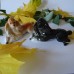 Lying Red Poodle Lomonosov porcelain figurine