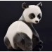 Cute Panda Lomonosov