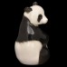 Panda Lomonosov