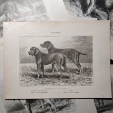 7972