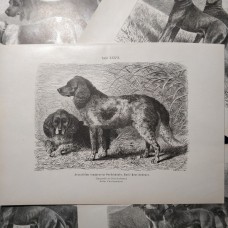 7973