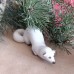Ermine Russian Porcelain Figurine Made in USSR 1960s