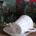 Vintage cup and saucer 