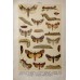 FREE SHIPPING 4 Butterflies Russian glass figurines