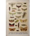 FREE SHIPPING 4 Butterflies Russian glass figurines