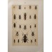 FREE SHIPPING 4 Butterflies Russian glass figurines