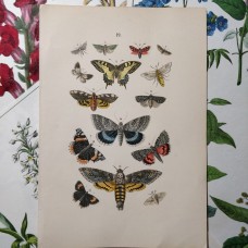 FREE SHIPPING 4 Butterflies Russian glass figurines