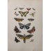 FREE SHIPPING 4 Butterflies Russian glass figurines