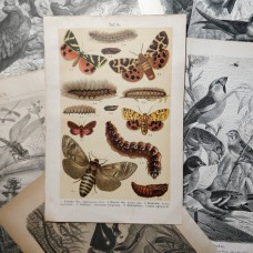FREE SHIPPING 4 Butterflies Russian glass figurines