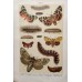 FREE SHIPPING 4 Butterflies Russian glass figurines