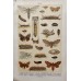 FREE SHIPPING 4 Butterflies Russian glass figurines