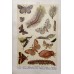 FREE SHIPPING 4 Butterflies Russian glass figurines