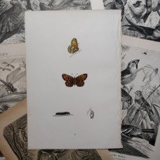 FREE SHIPPING 4 Butterflies Russian glass figurines