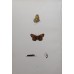 FREE SHIPPING 4 Butterflies Russian glass figurines