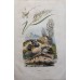 8255 8255