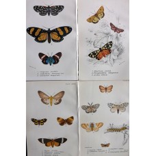 FREE SHIPPING 4 Butterflies Russian glass figurines