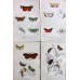 FREE SHIPPING 4 Butterflies Russian glass figurines