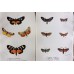 FREE SHIPPING 4 Butterflies Russian glass figurines