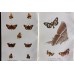 FREE SHIPPING 4 Butterflies Russian glass figurines