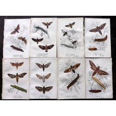FREE SHIPPING 4 Butterflies Russian glass figurines