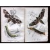 FREE SHIPPING 4 Butterflies Russian glass figurines