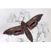 FREE SHIPPING 4 Butterflies Russian glass figurines