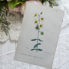 8459