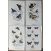 FREE SHIPPING 4 Butterflies Russian glass figurines