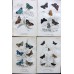 FREE SHIPPING 4 Butterflies Russian glass figurines