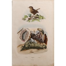 9619