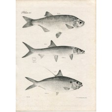9886