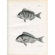 9891