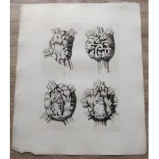 10763