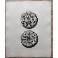 10766