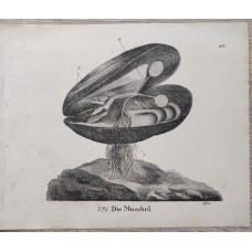 10881