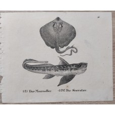 10882