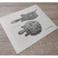 10883
