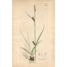 11068