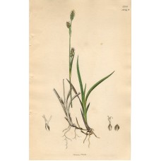 11062