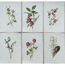 11365
