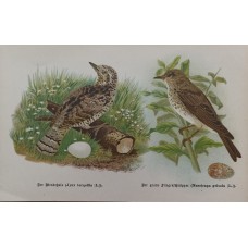 11504