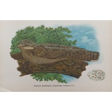 11505