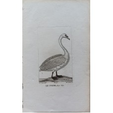 11510