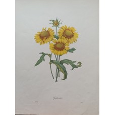 11634