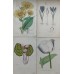 1870 Golden Saxefrage Antique botanical lithograph Matted Framed Wild Flower Han