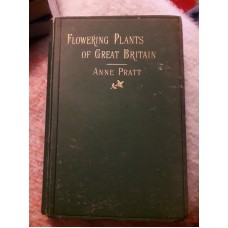 11742
